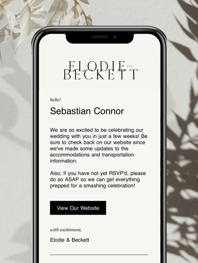 Minimalist wedding website update email displayed on a mobile phone screen, featuring black and white typography, RSVP reminder messaging, and a clean modern layout.