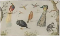 Art Animalia 01