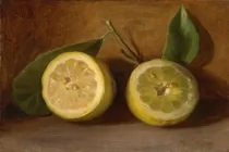 Art Fruit 02