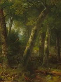 Art Landscape 05