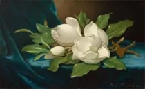 Art Still Life 16