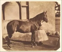 Art Vintage Horse