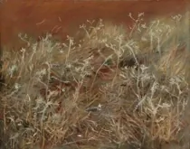 Art Western Wildflowers