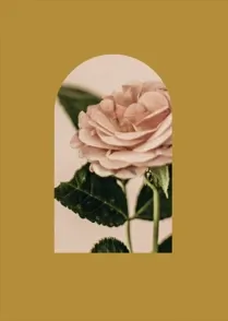 Bell Jar 02