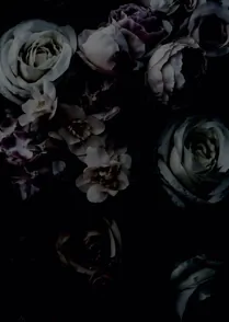 Bloom 01
