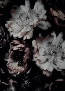 Bloom 04