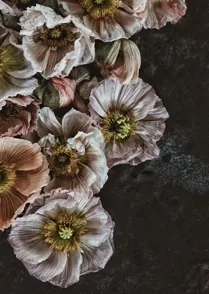 Botanica I