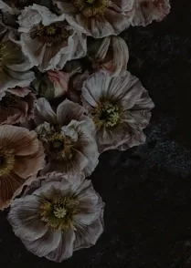 Botanica II
