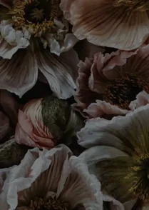 Botanica IV