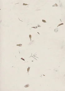 Botanical Paper 01