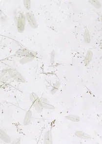 Botanical Paper 02