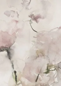 Calena Floral