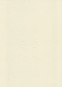 Coquette Paper 20