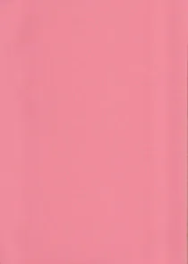 Coquette Paper 27