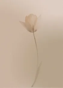 Deliquesce 02