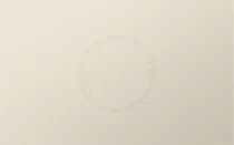 Embossed Frame 11