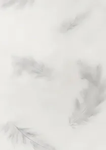 Featherweight