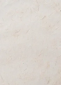 Fibers 01