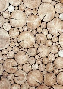 Fire Wood