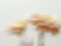 Floral Floret Blurred 18