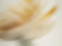 Floral Floret Blurred 22