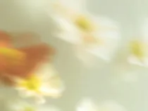 Floral Floret Blurred 9