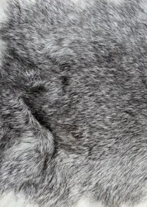 Fur