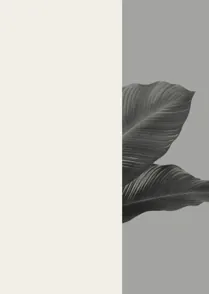 Gallery Leaves 02