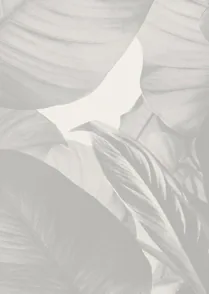 Gallery Leaves 04