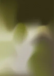 Gradient Series Moss 08