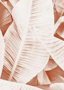Jungle Leaves 01