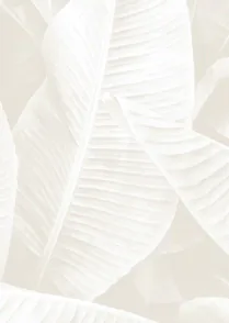 Jungle Leaves 02