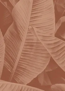 Jungle Leaves 03