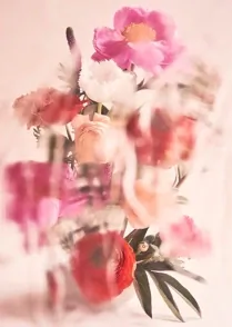 Les Fleurs 01