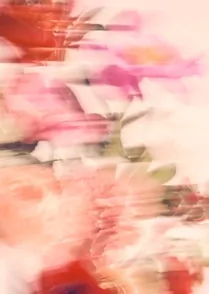 Les Fleurs 02