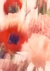Les Fleurs 03
