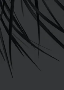 Midnight Breeze