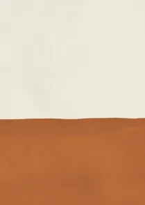 Painted Color Block 01