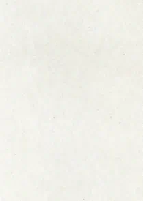 Paper 08