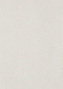 Paper 10