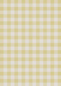 Paper Checks and Stripes 32