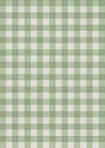 Paper Checks and Stripes 33