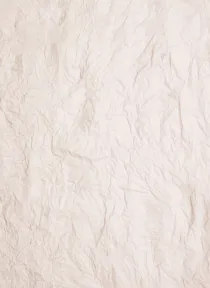 Paper Vintage Embossed Paper 21