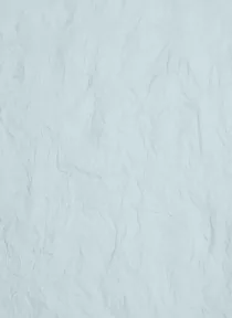 Paper Vintage Embossed Paper 22
