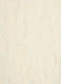 Paper Vintage Embossed Paper 23
