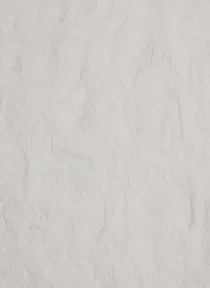Paper Vintage Embossed Paper 24