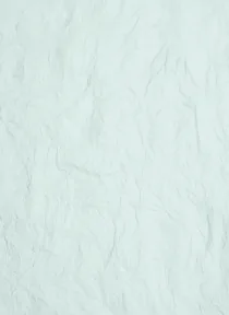 Paper Vintage Embossed Paper 25