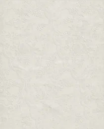 Paper Vintage Embossed Paper 29