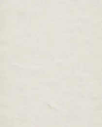 Paper Vintage Embossed Paper 3
