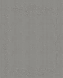 Paper Vintage Embossed Paper 34